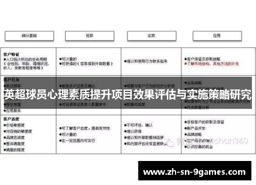英超球员心理素质提升项目效果评估与实施策略研究