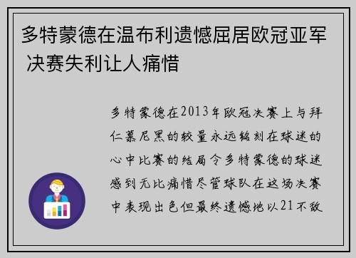 多特蒙德在温布利遗憾屈居欧冠亚军 决赛失利让人痛惜 多特蒙德在温布利遗憾屈居欧冠亚军 决赛失利让人痛惜